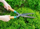 Garden Maintenance Landscaping Solutions