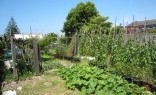 Landscaping Solutions Vegetable Gardens